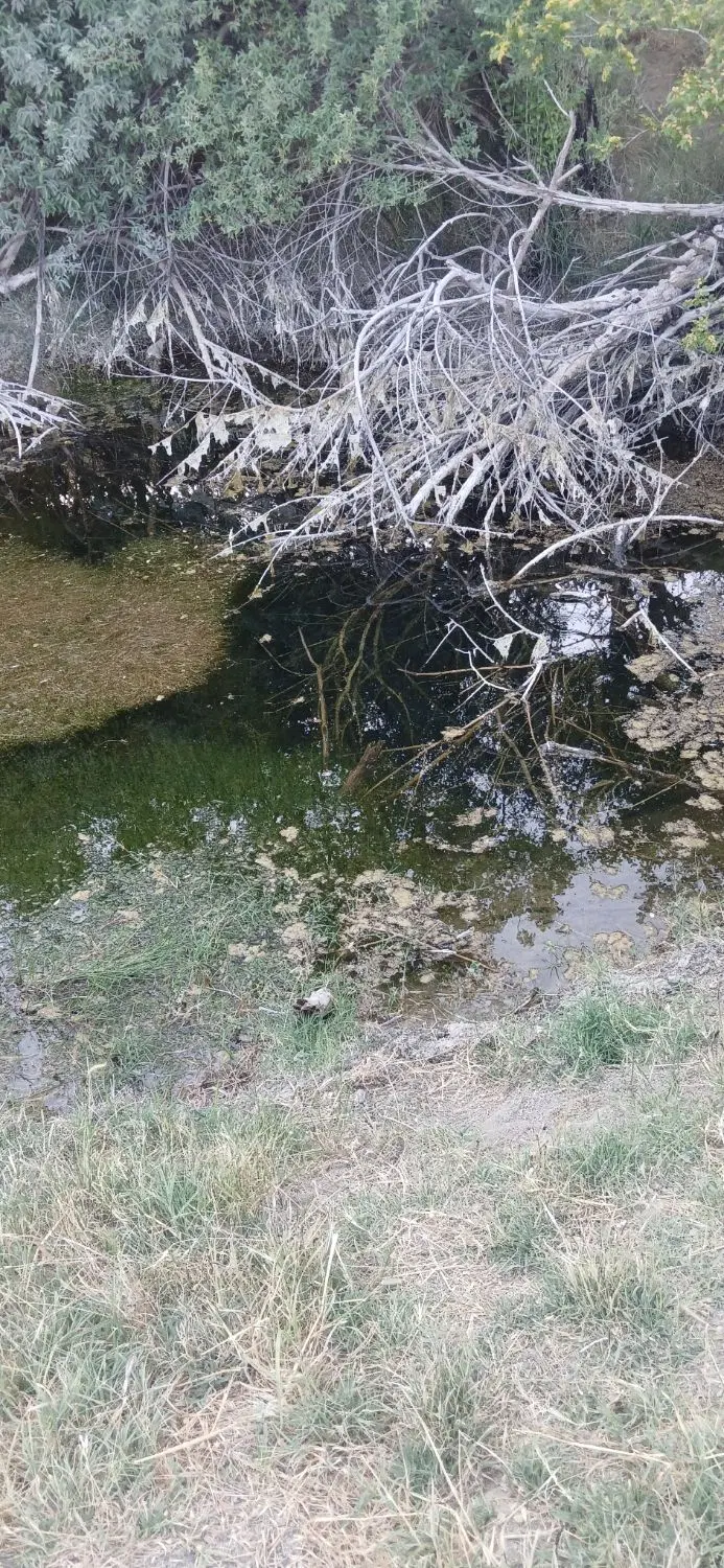 زمین کشاورزی روستای کره سی