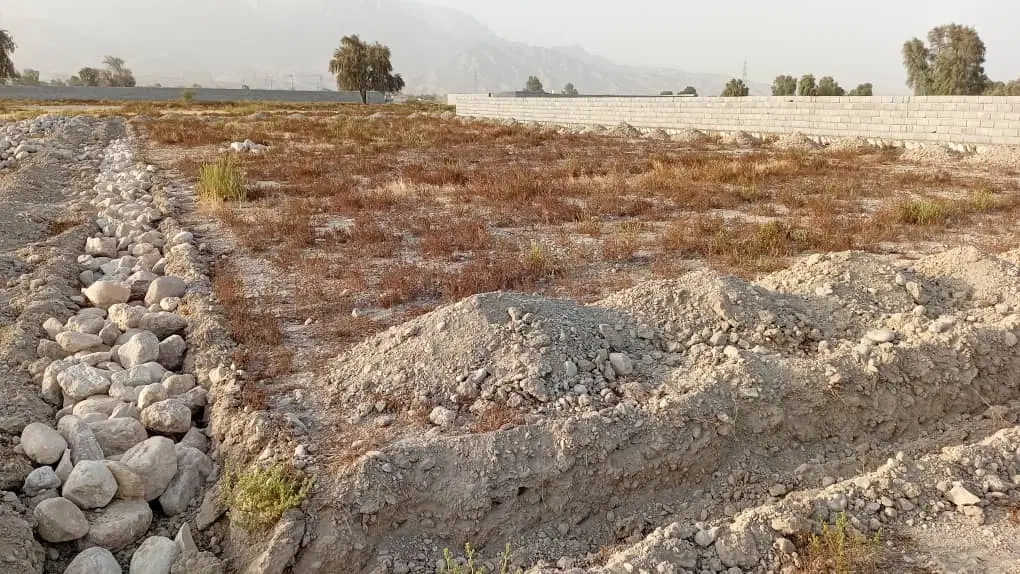 زمین پاتل ایسین