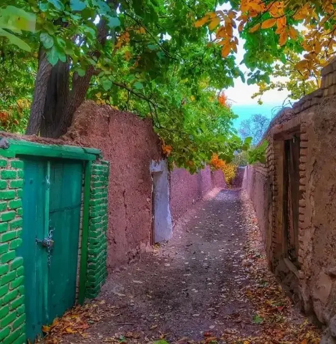 همخونه