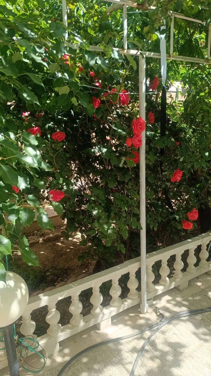 فروش خانه ویلایی