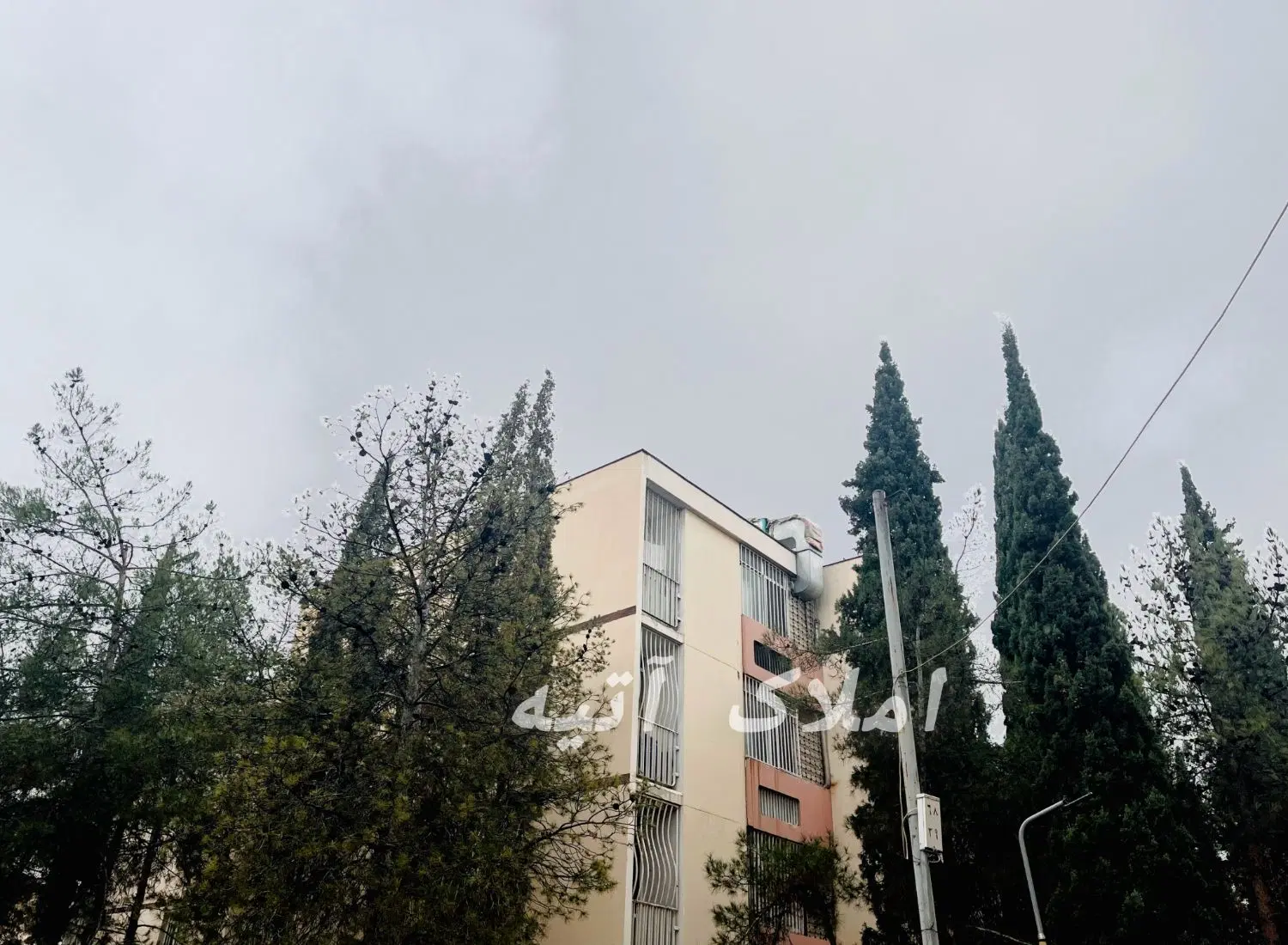 دو خواب خیابان لادن