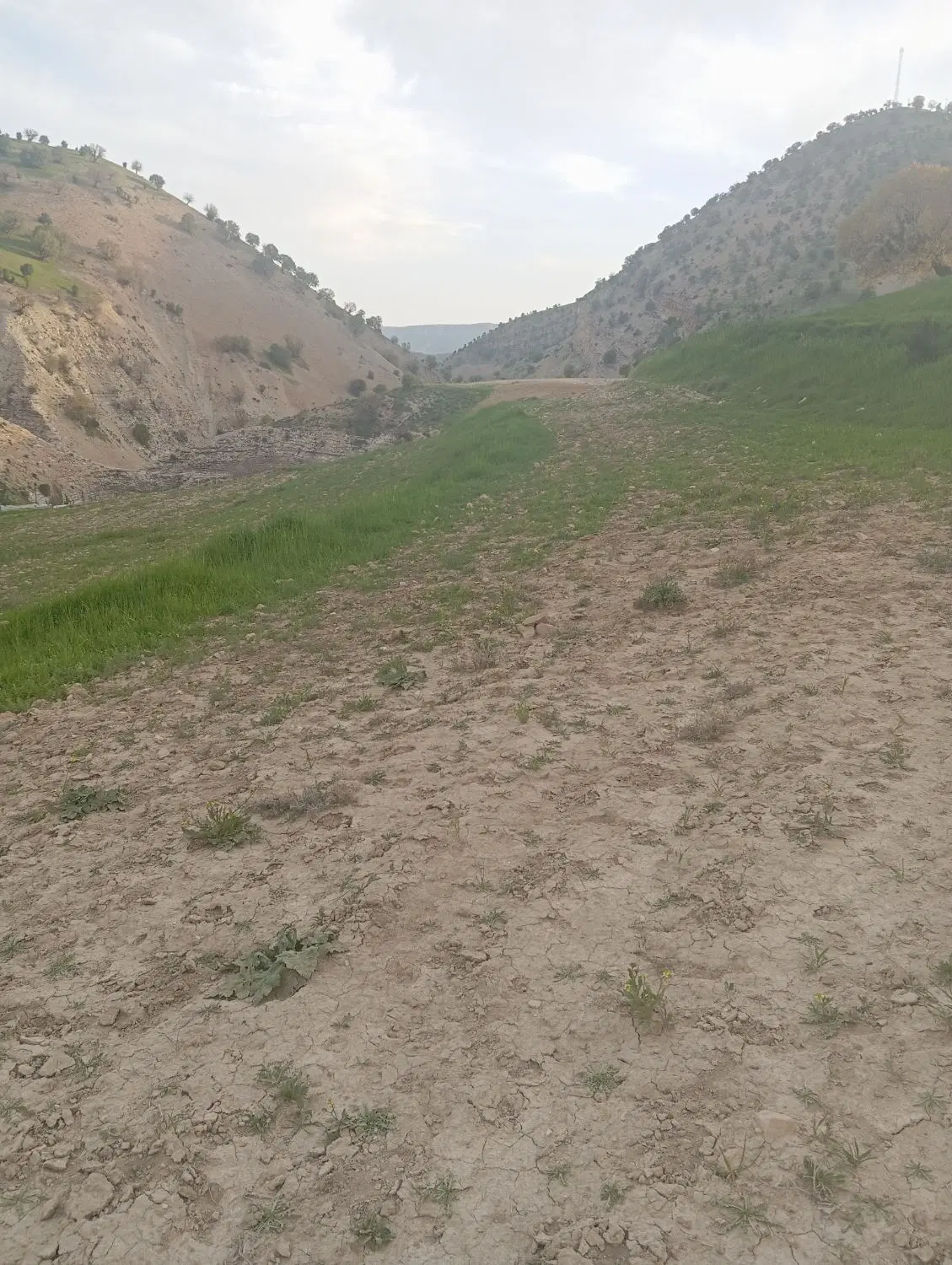 باغ