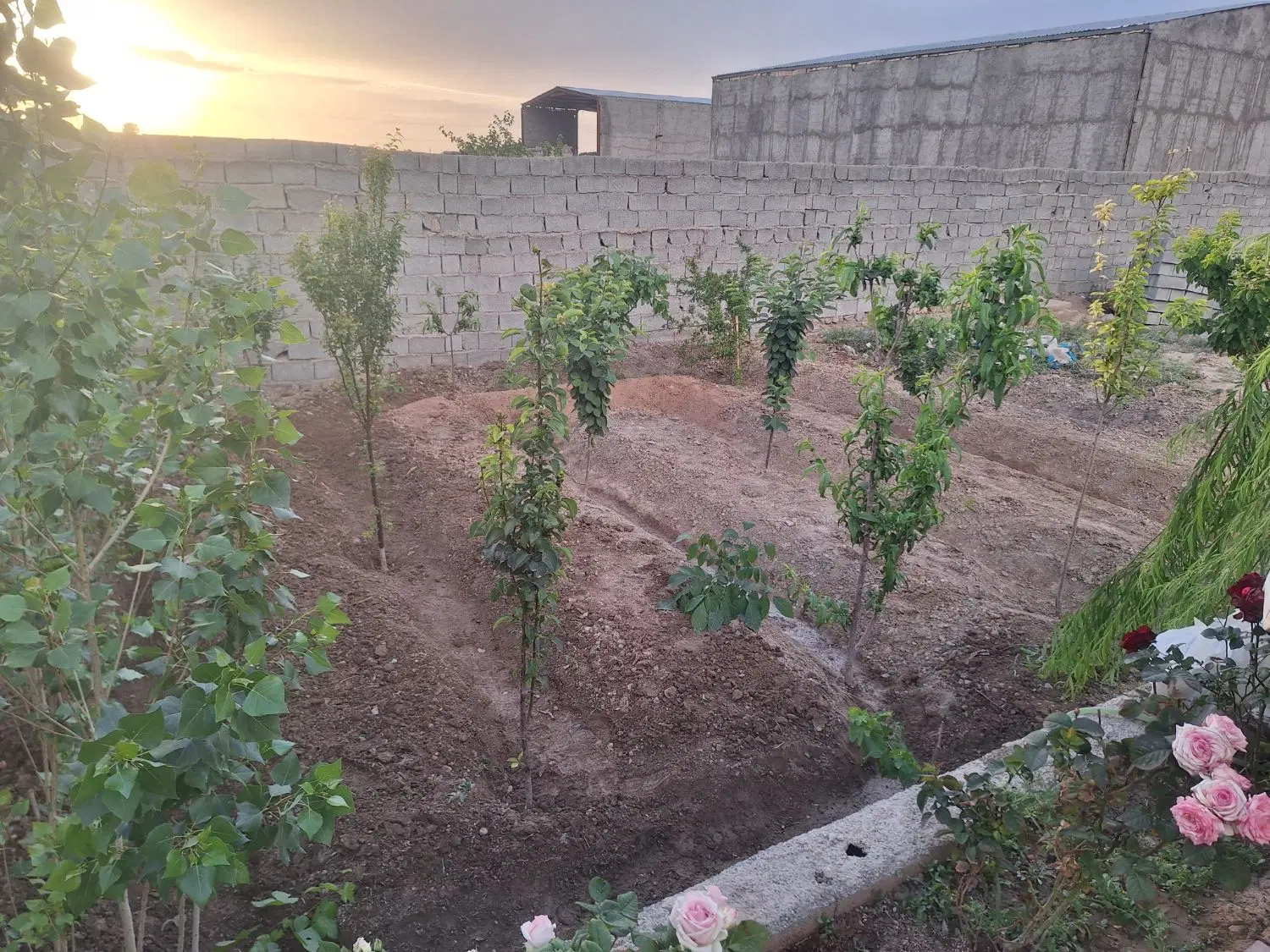۱۲۰متر باغچه نقلی