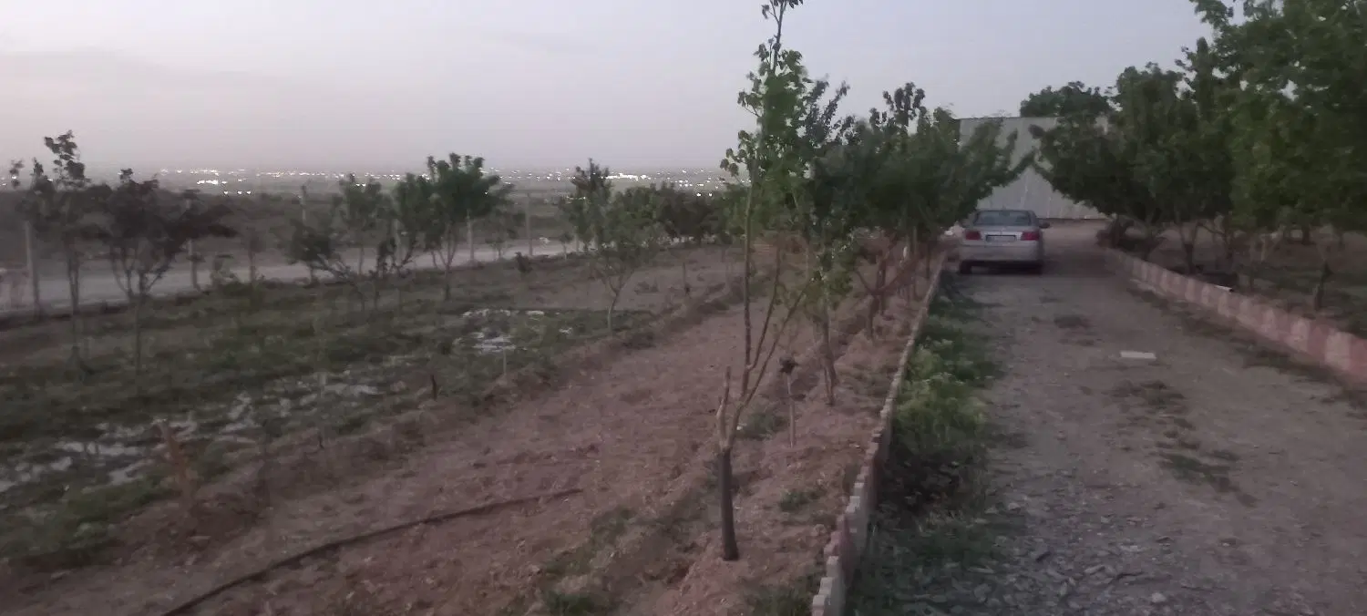 زمین باغی