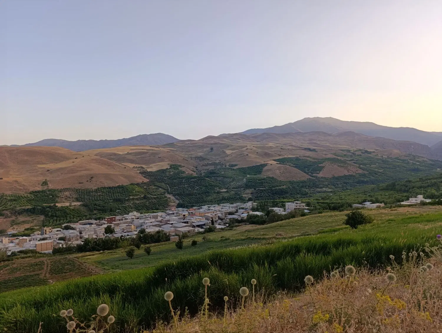 زمین‌ کشاورزی