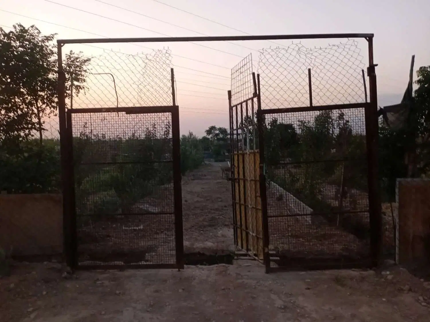باغچه