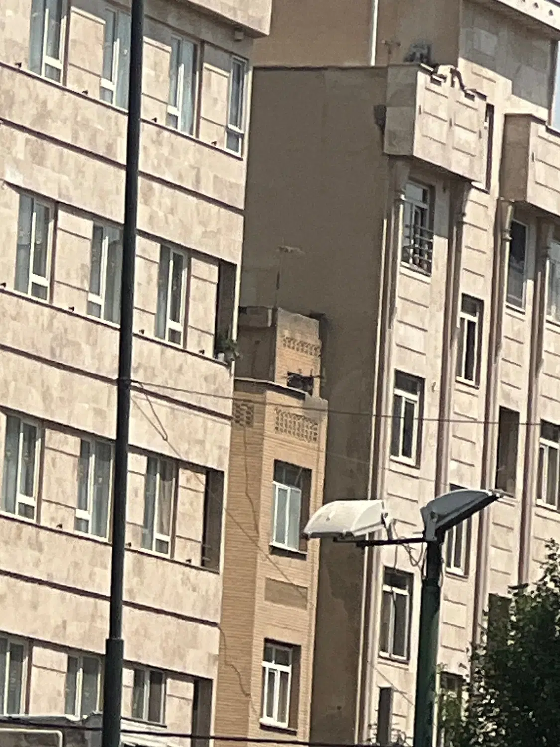 رهن