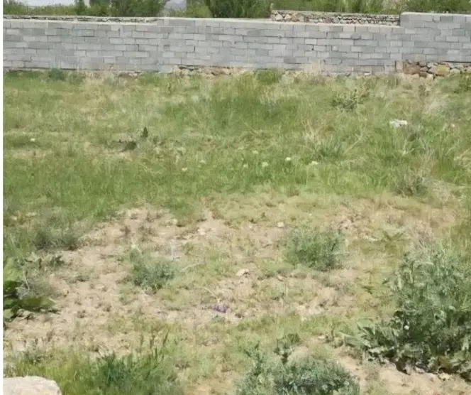 فروش زمین در دیزج علیا 340متر مسکونی