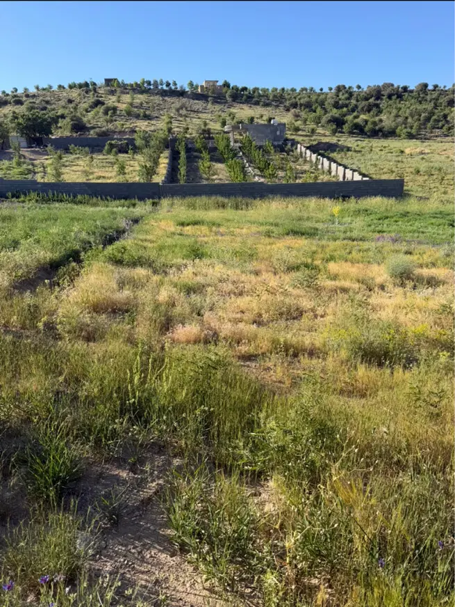 زمین باغشهری۱۲۰۰ متر دشت ارژن (زنگنه)