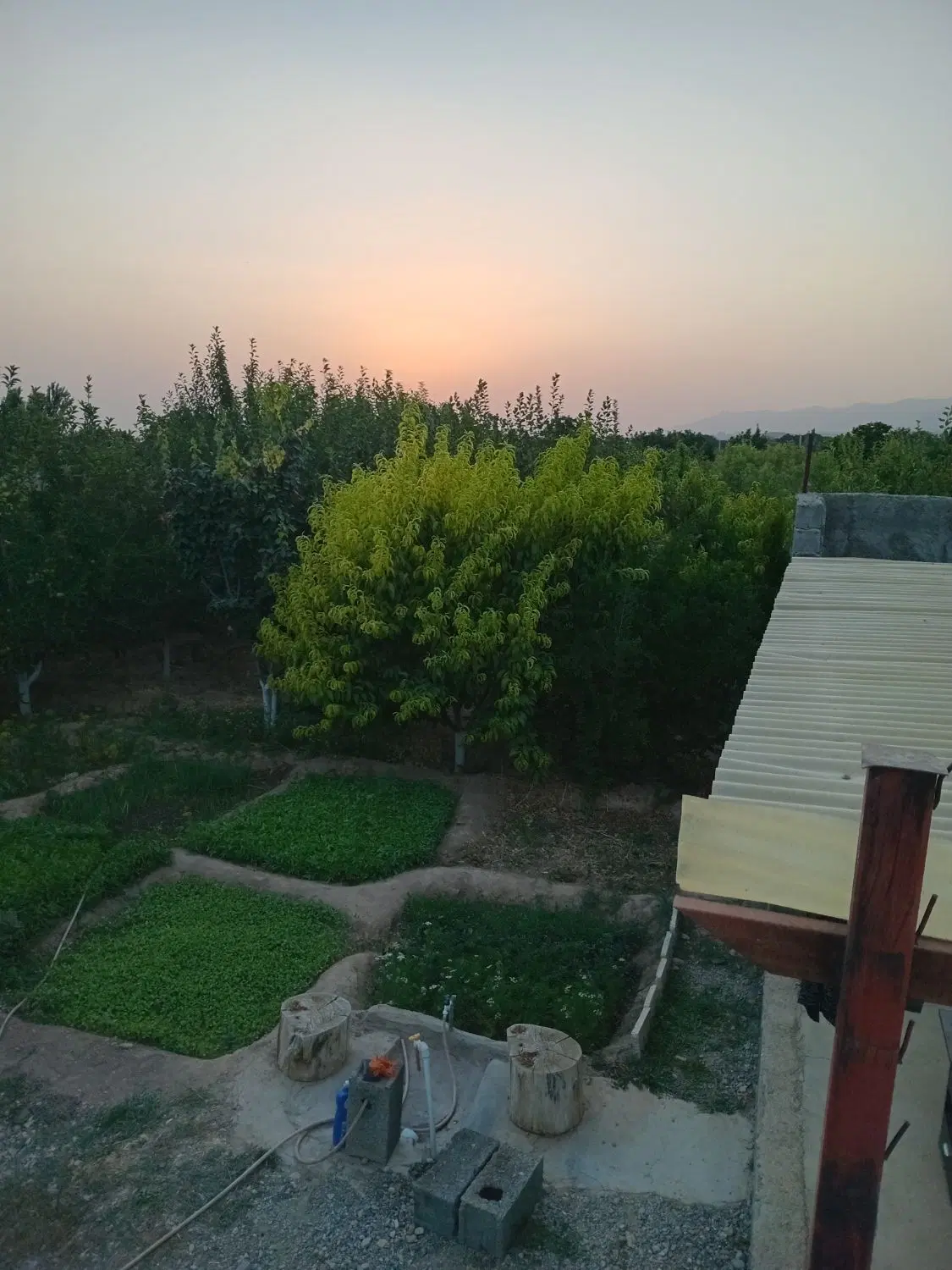 باغ ششصد متر واقع در شهر کوهسار  دارای سند