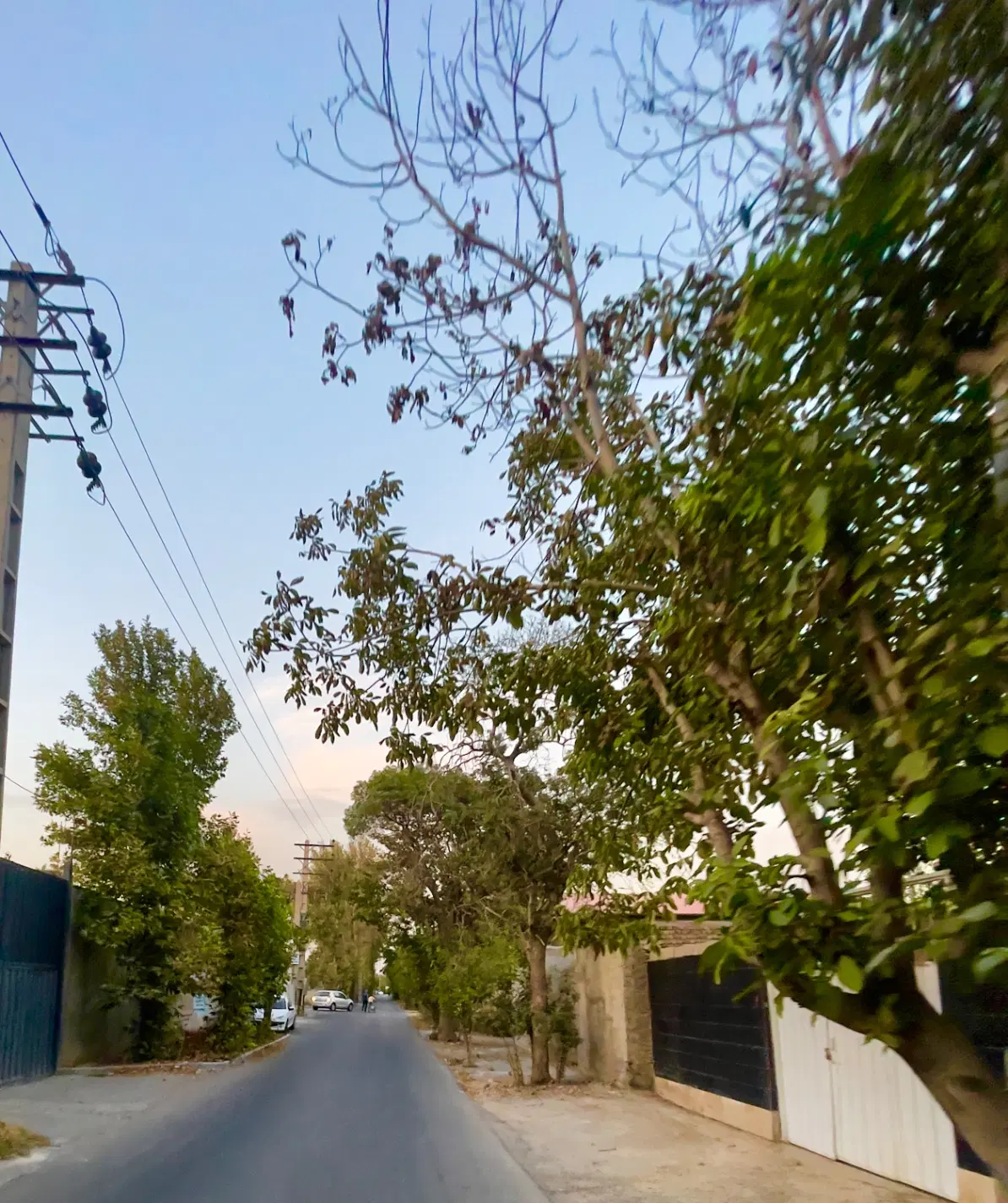 باغ ۵۵۰ متر چهاردیوار در کهنز