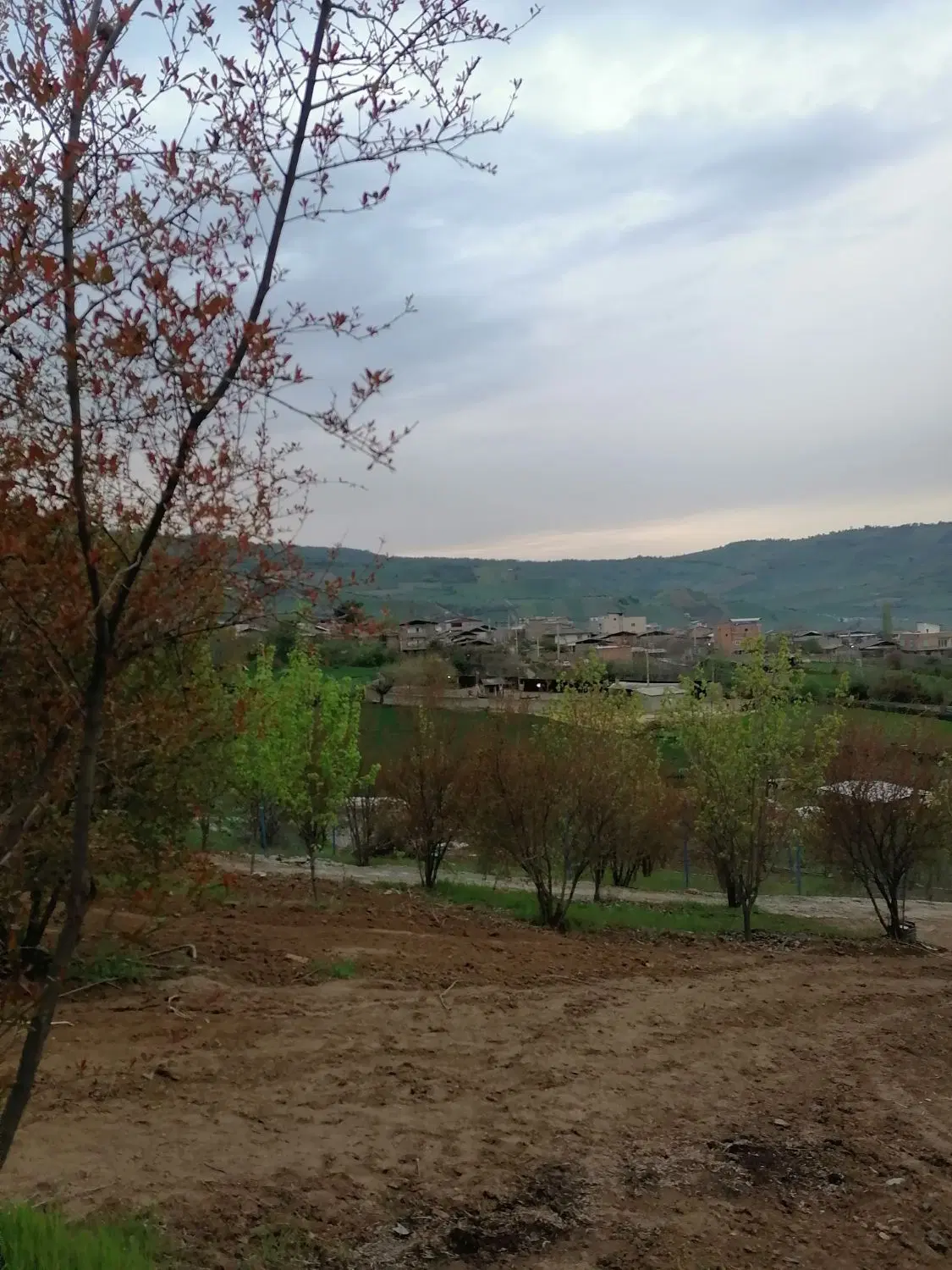 باغ انار باغی نومل