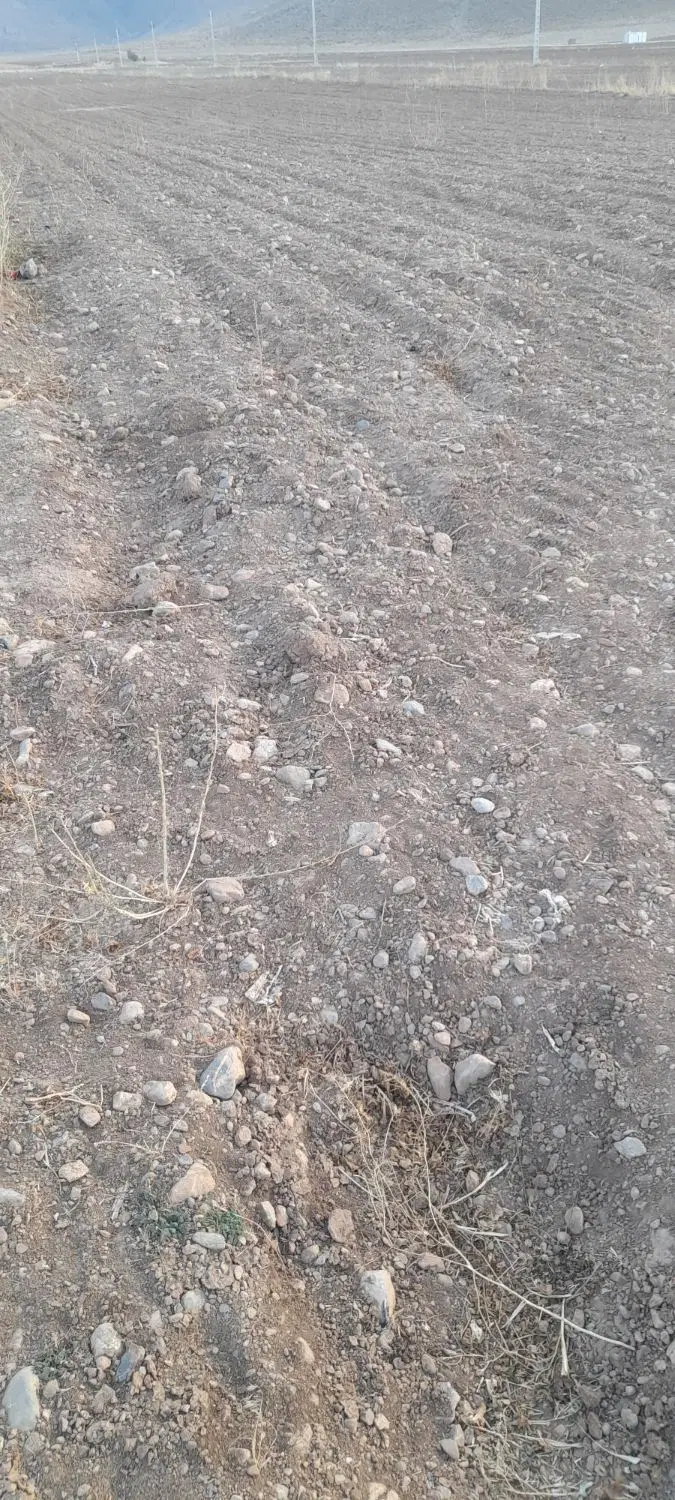 اجاره زمین کشاورزی(دامنه)