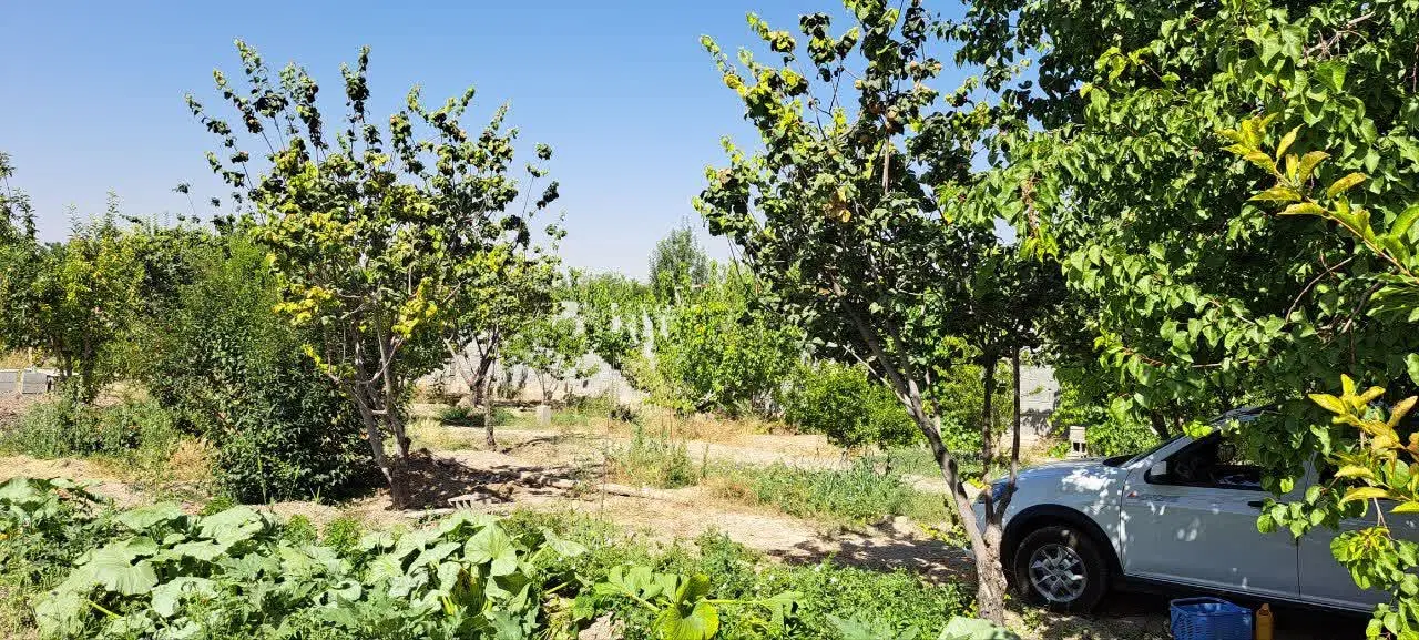 زمین باغی ۱۵۰۰ متر در برکان
