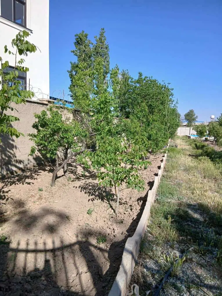 باغ ۱۰۰۰ متری آب و برق دار