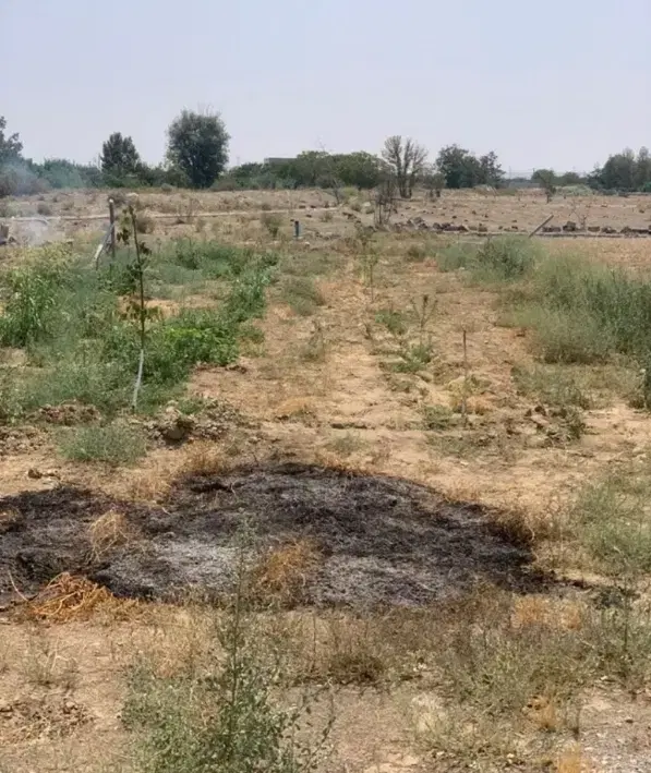 باغچه ۵۰۰ متری