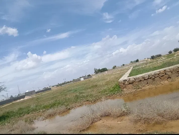 زمین