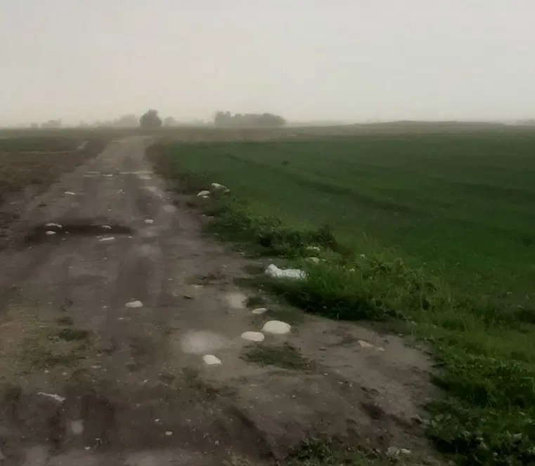 زمین باغی طرح هادی هکتاری