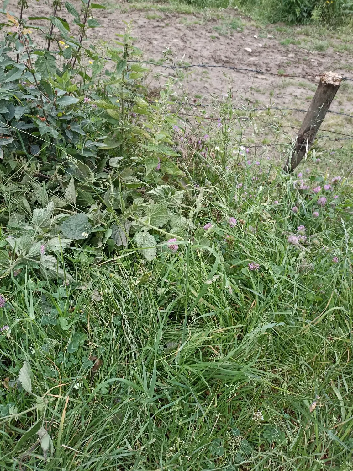 ۲۰۴متر زمین سند دار مسکونی با ۴طبقه پروانه ساخت