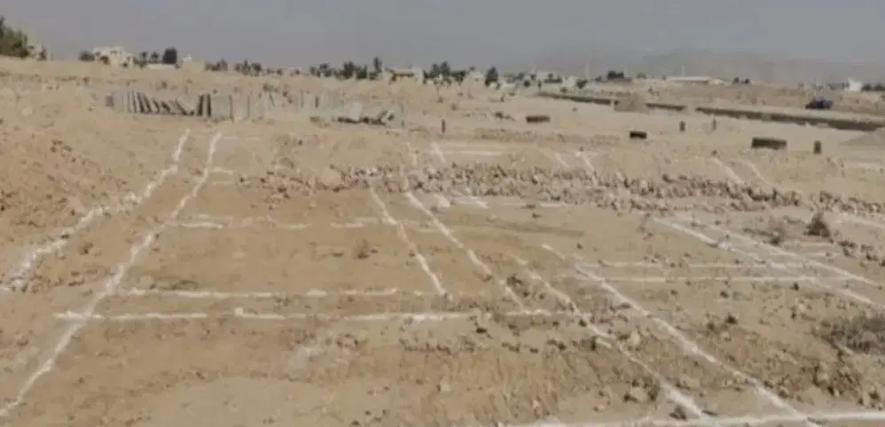 زمین تجاری