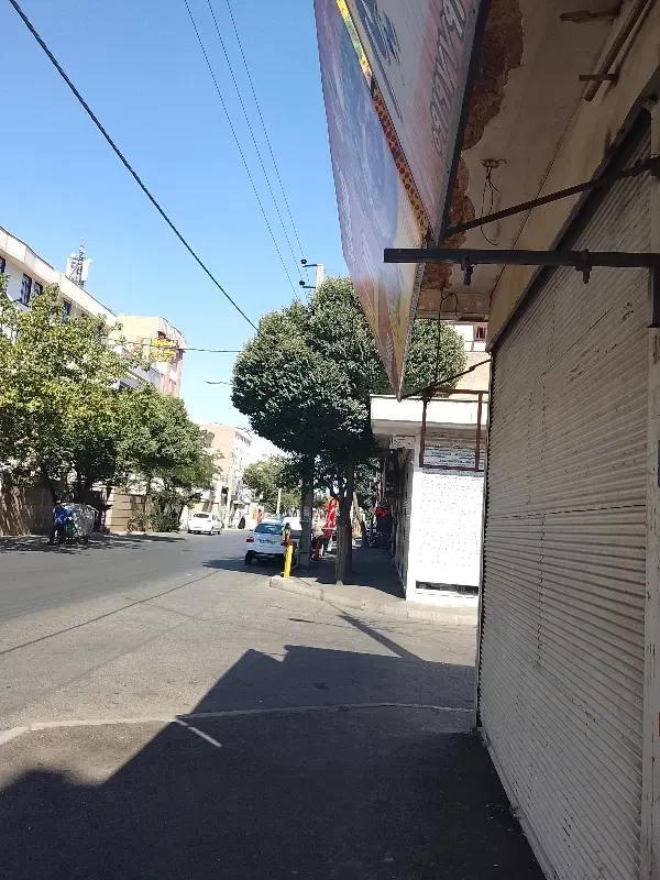 هم خانه
