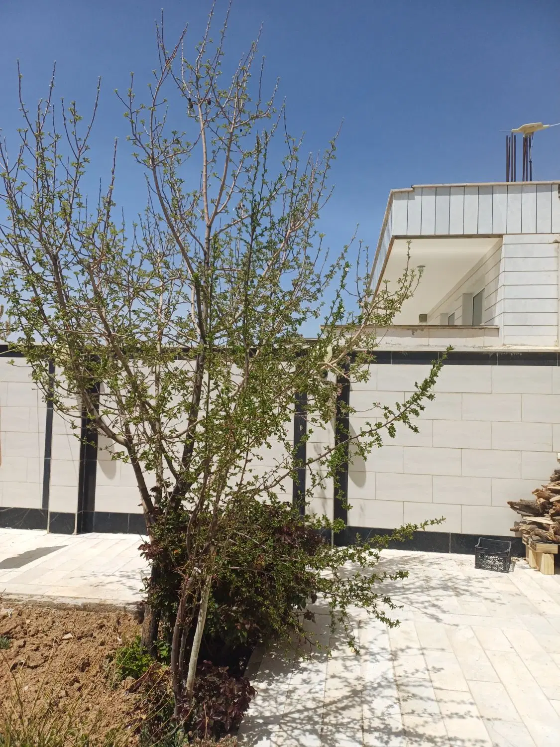 فروشی زمین تجاری