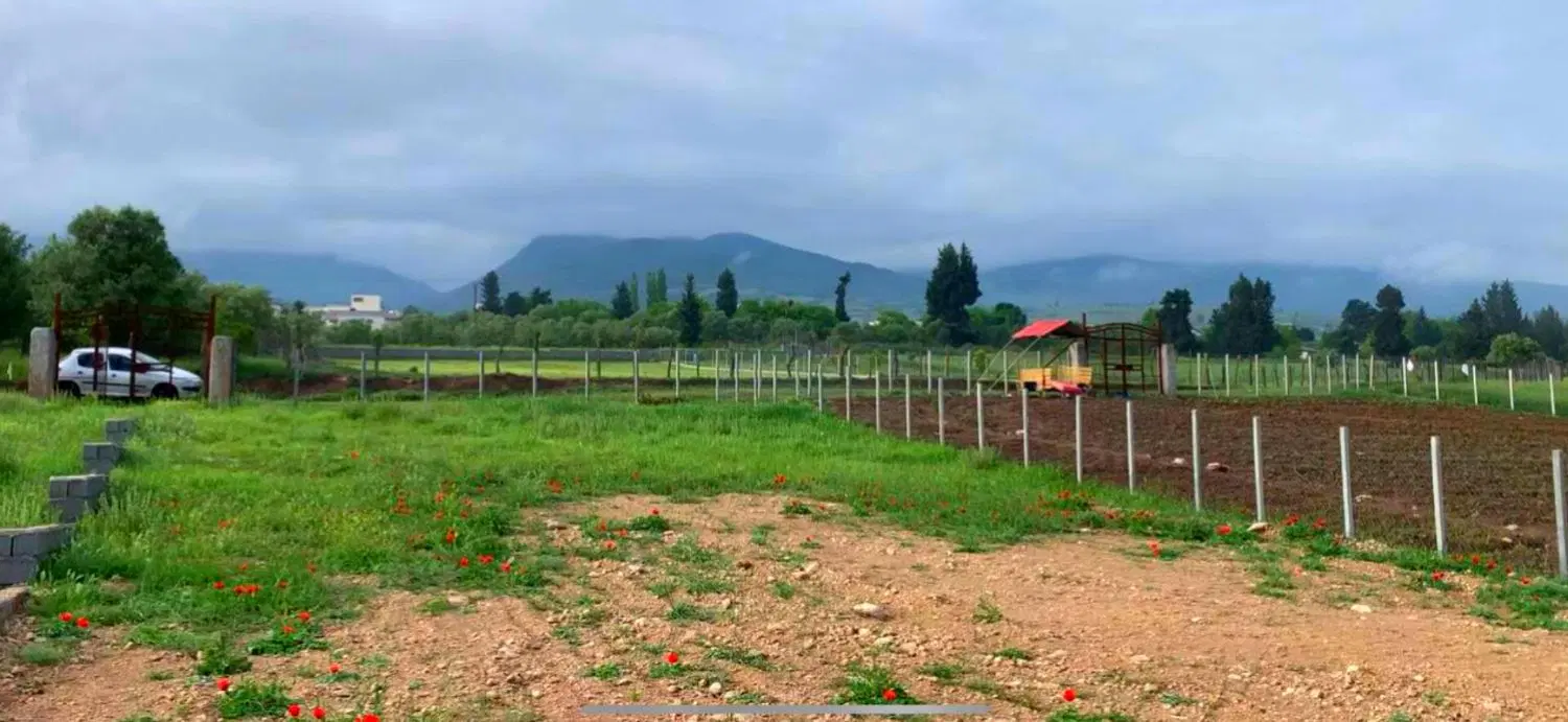زمین باغی سنددار شمال_زمین کشاورزی_زمین روستای