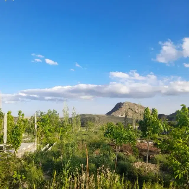 باغ فروشی