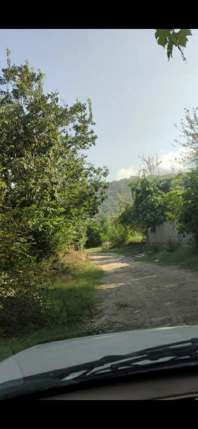 زمین باغی