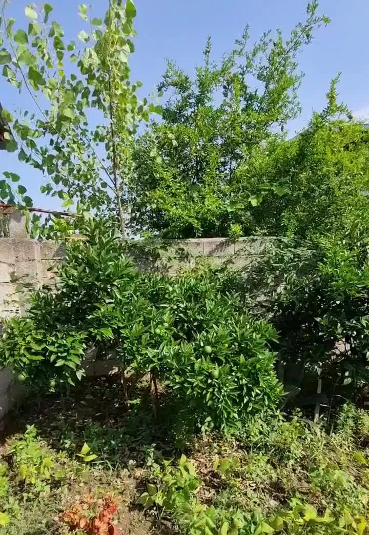 ویلا روستایی مشرف به دریا