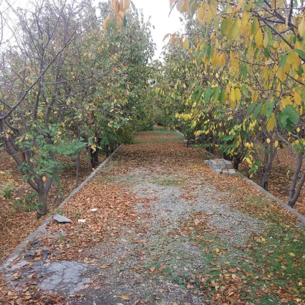 باغچه و زمین ماهدشت