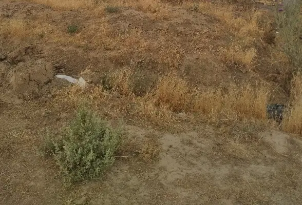 زمین دو نبش دریا شهر