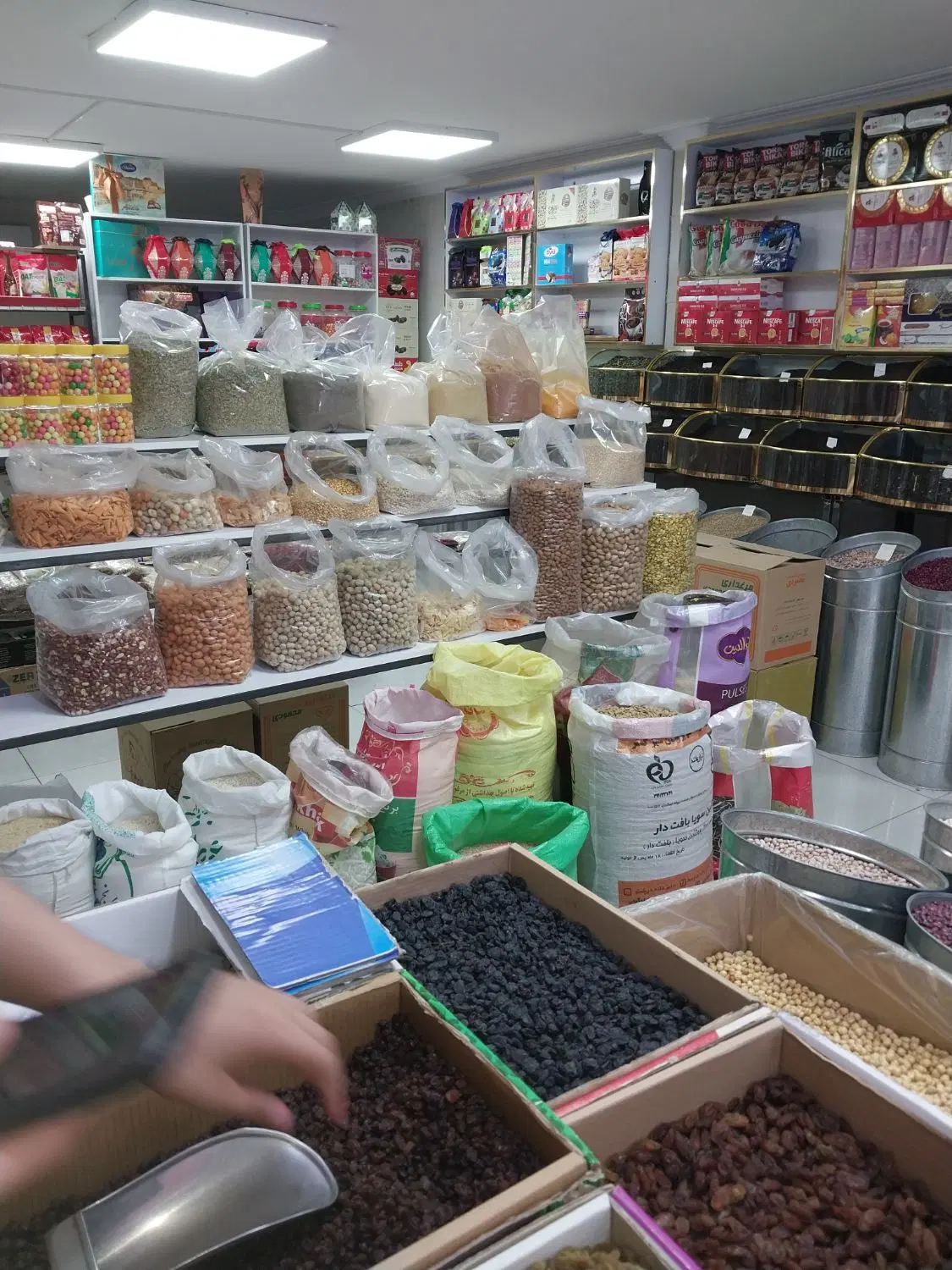 اجاره آجیل و خشکبار فعال لوکس