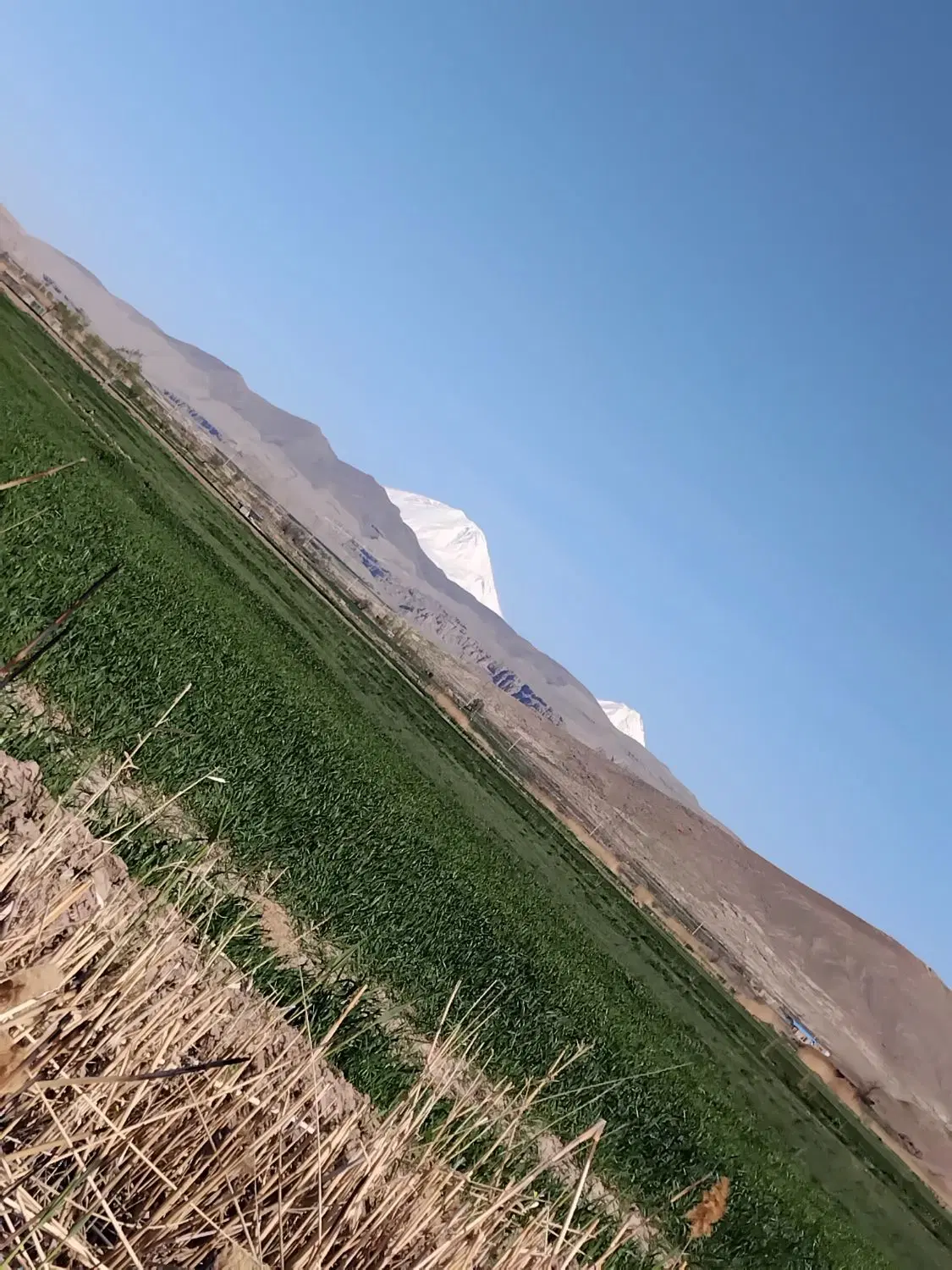 زمین زراعی مخصوص باغ