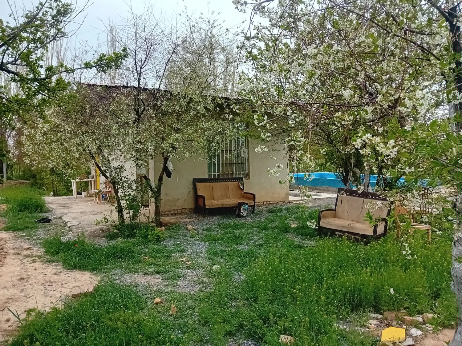 باغ 2000 متری