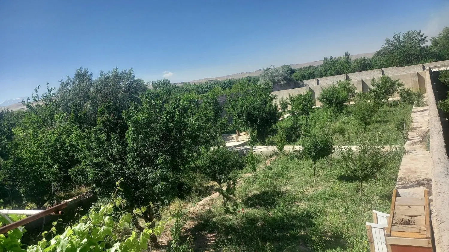 باغ ویلای ۱۰۰۰ متر