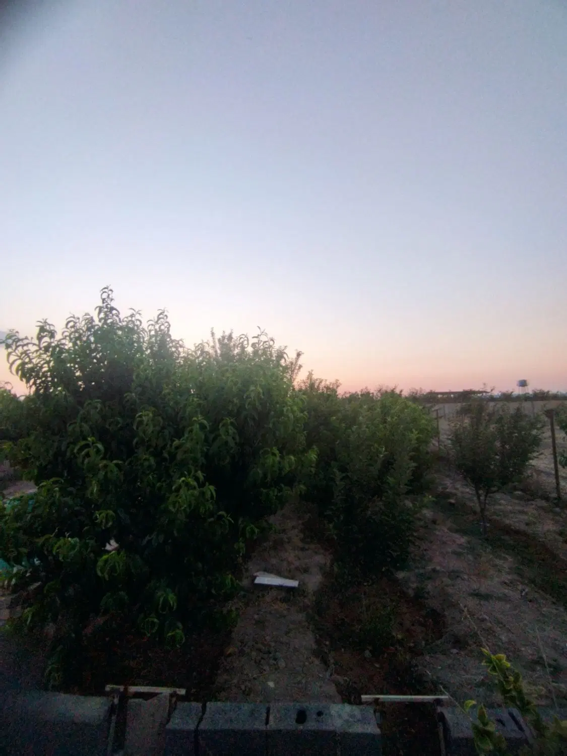 باغچه سند دار شهرکی بکه بدون مشکل تخریب آگهی شخصی