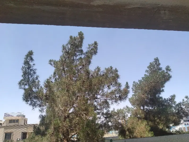 اجاره منزل مناسب کارگاه