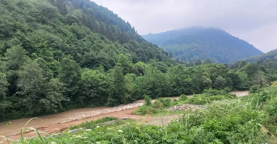 باغ ۲۰۰۰۰ متری طرقبه