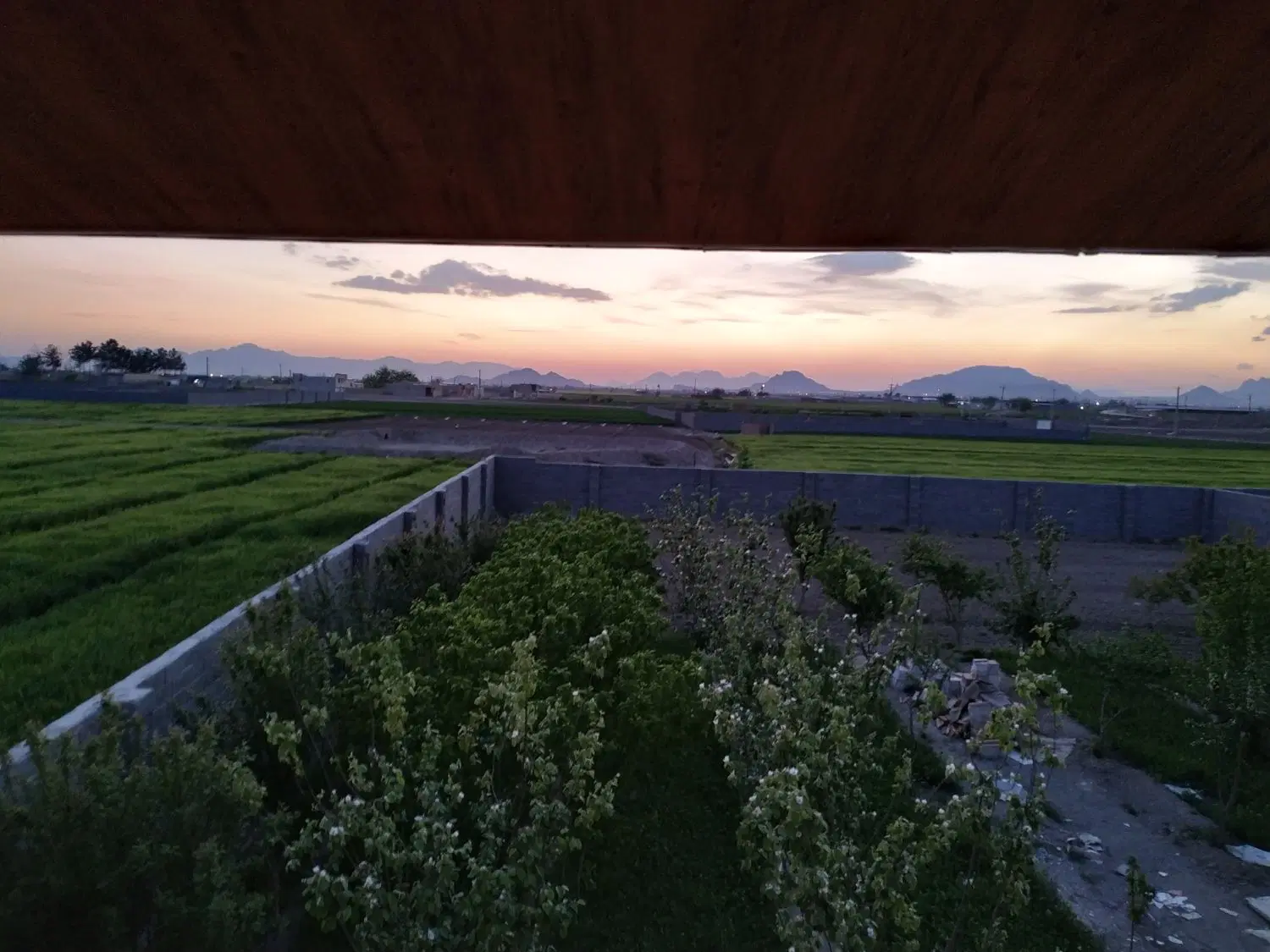 اجاره زمین کشاورزی