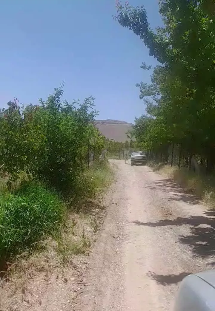 زمین چنگیزقلعه