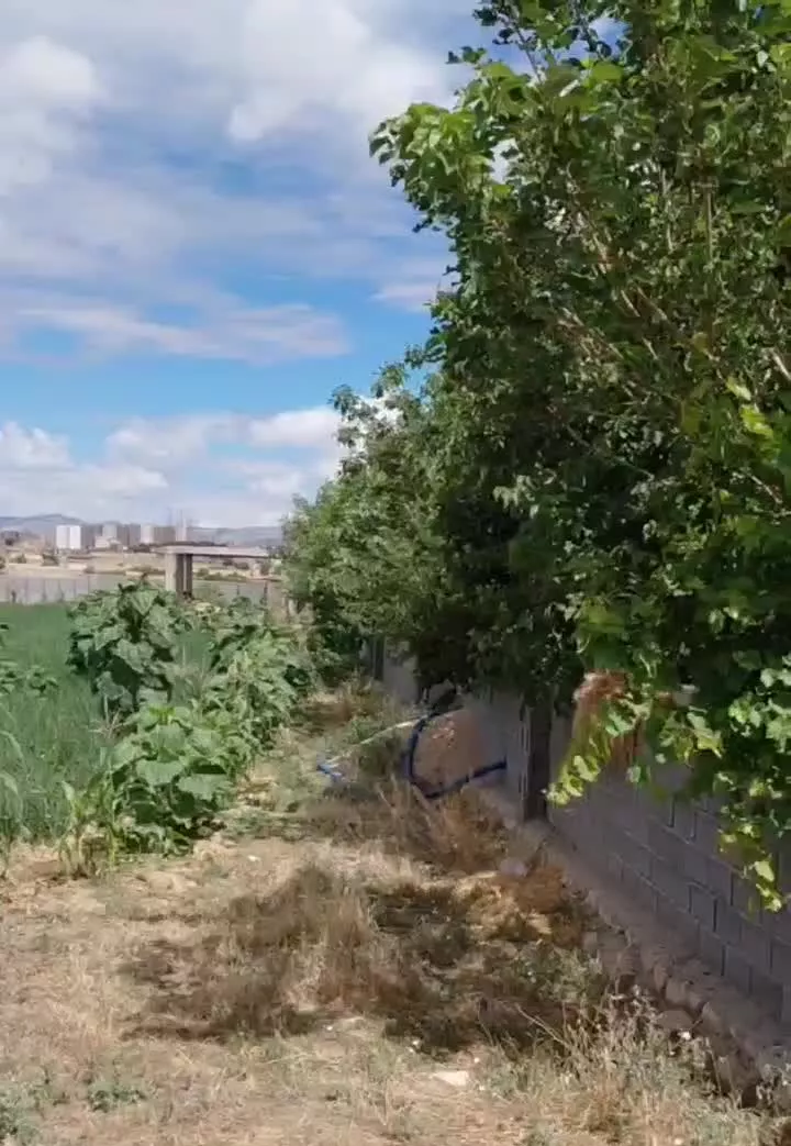 زمین گلخانه باغ مسکونی