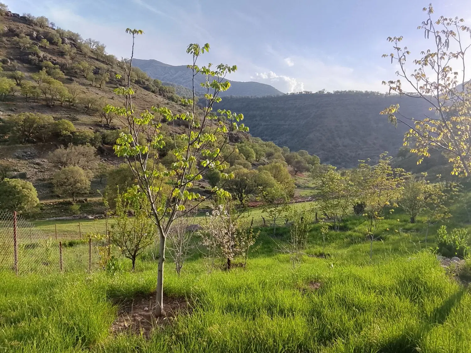 فروش زمین در روستای رضاآباد قلات