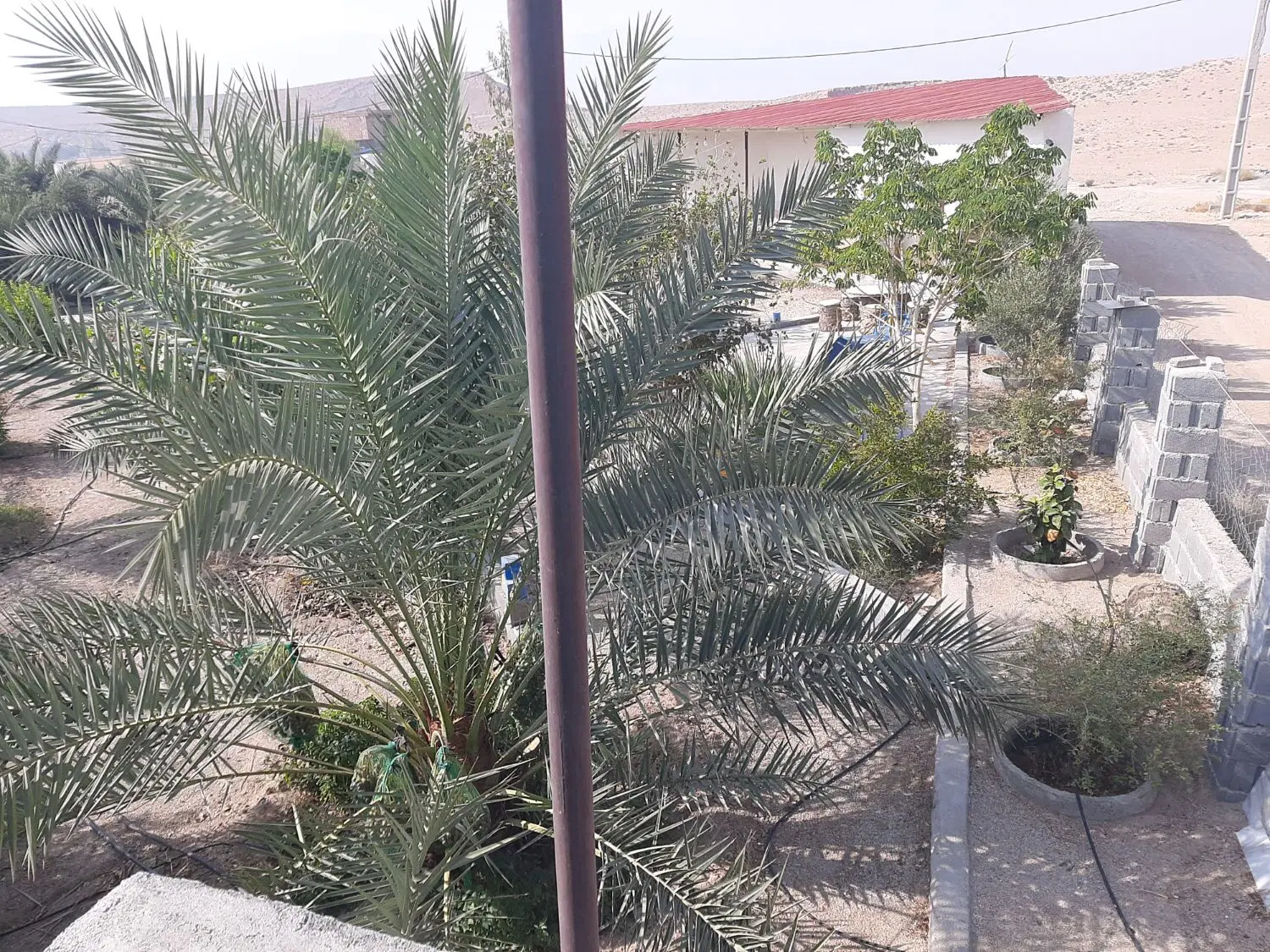 فروش باغ نیمه