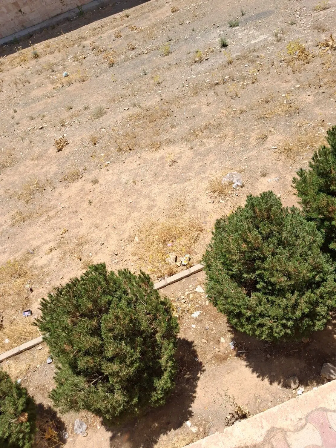 زمین کشاورزی
