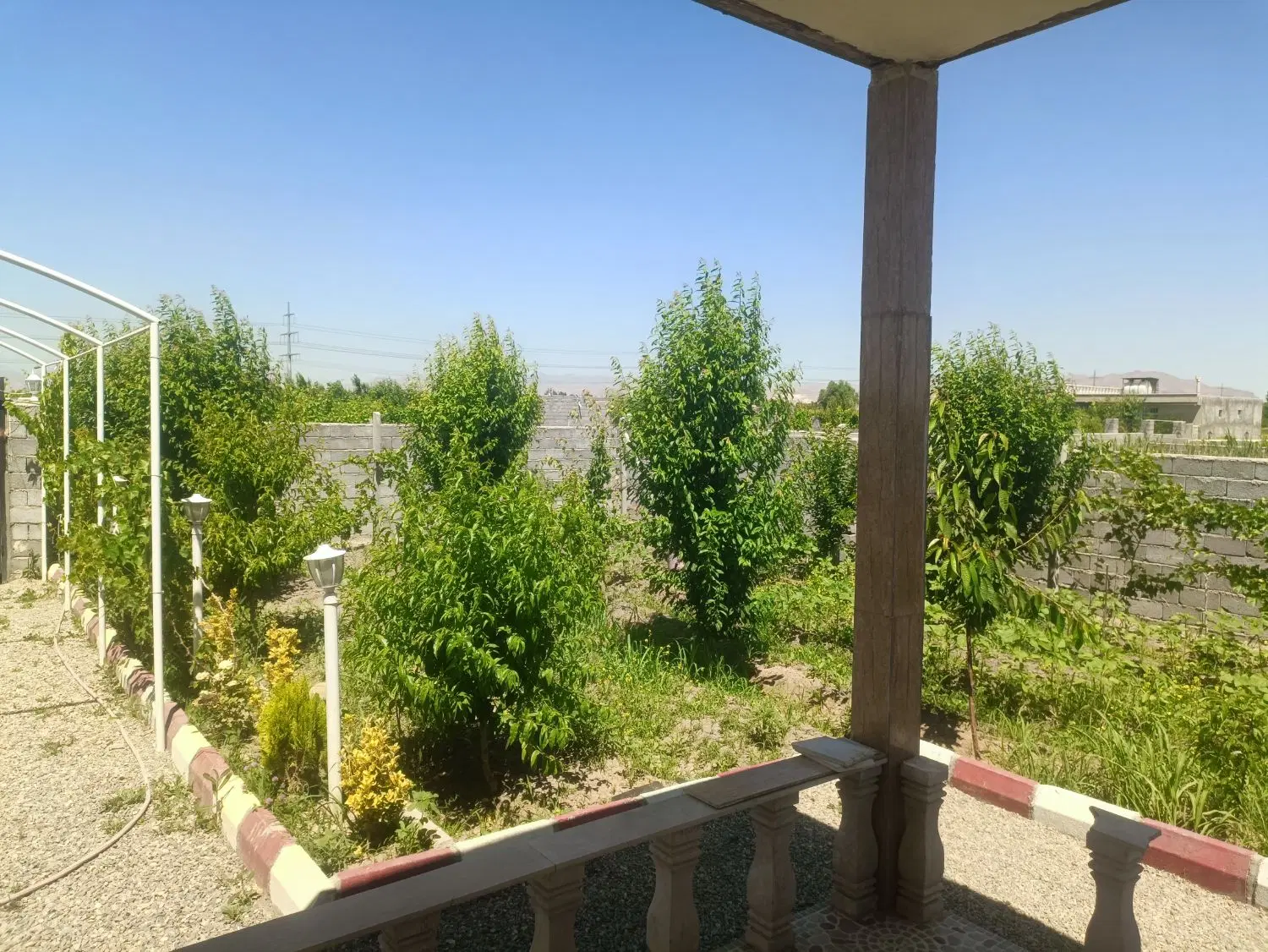 باغچه ویلایی