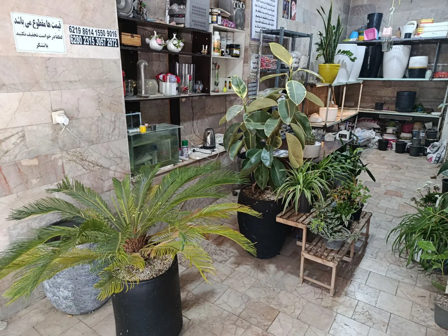 واگذاری مغازه گل فروشی