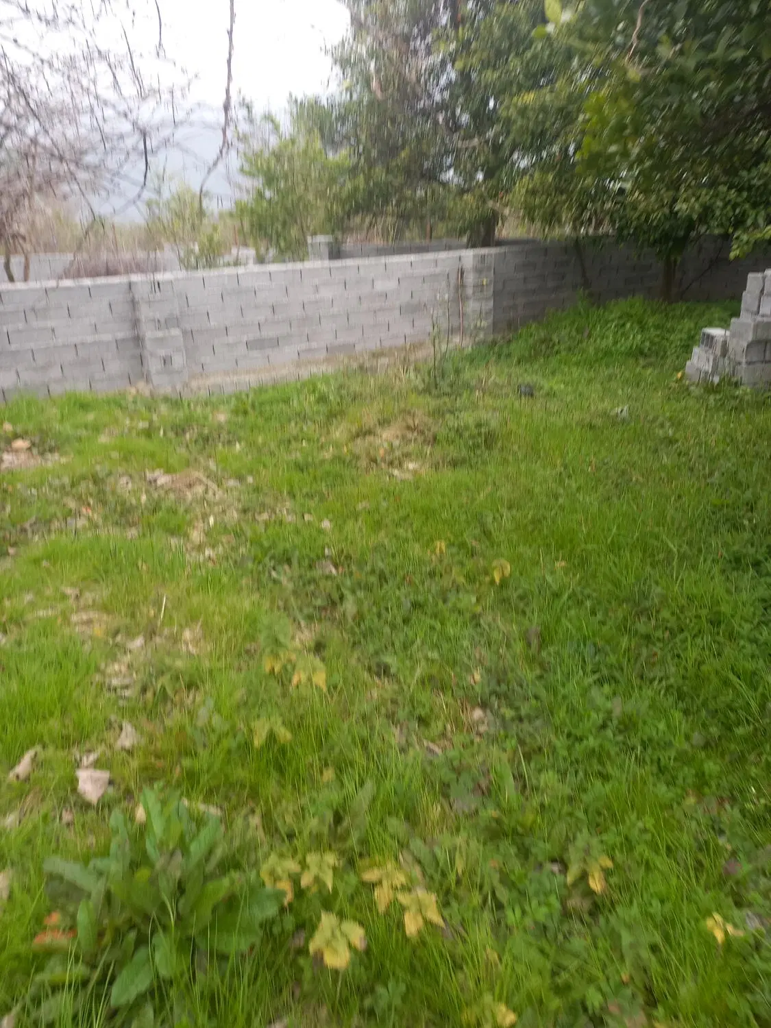فروش زمین ۲۸۳متر برجاده اصلی نجارکلا به کریم اباد