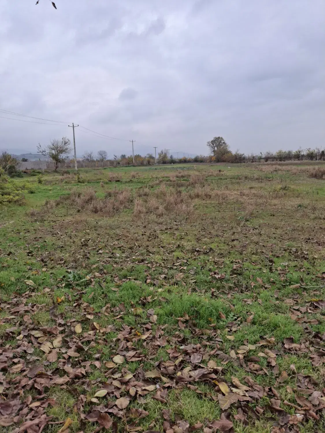 فروش زمین در روستای سرکلاته نوچمن