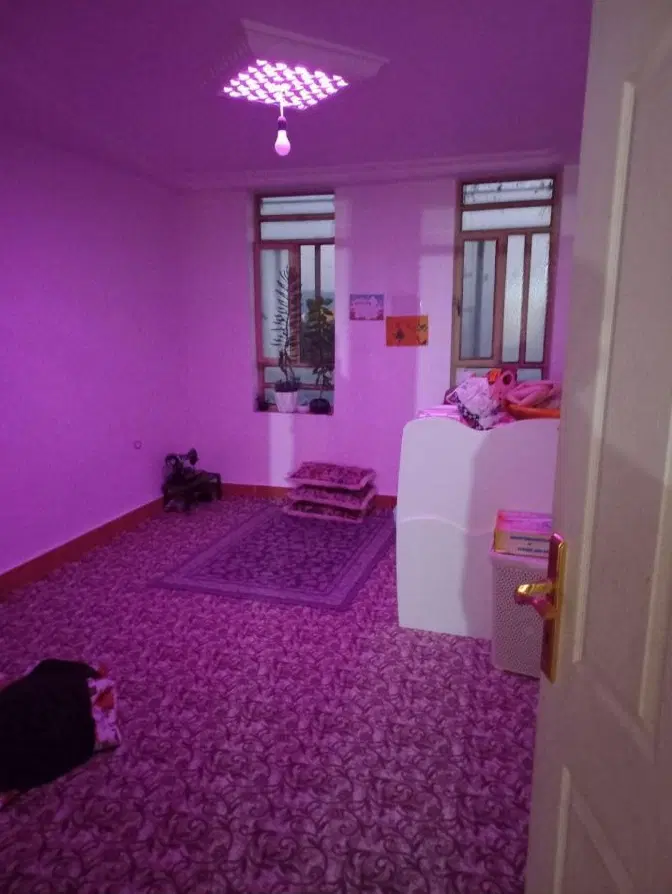 اجاره خانه کاشانی ۱۶